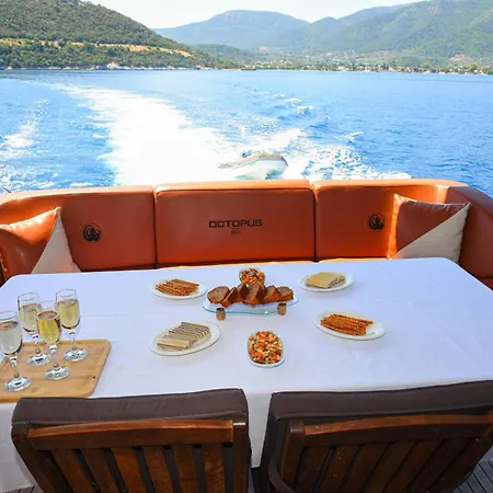 ספינת מלון Goekce1yacht *